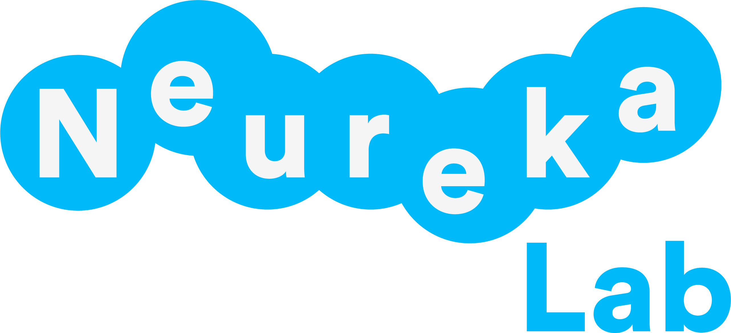 NeurekaLab